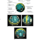 Illustration for article titled How Medical Nanotech Will Change Humanity Forever